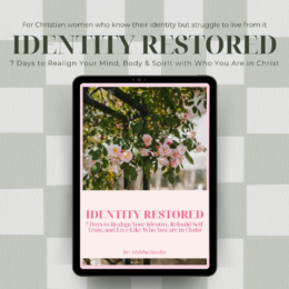 Rewired By Truth: The Biblical Mindset Renewal Workbook