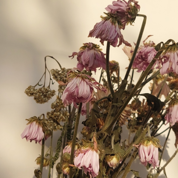 Spiritual Dryness: Stop Feeling Abandoned by God