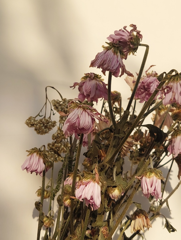 Spiritual Dryness: Stop Feeling Abandoned by God